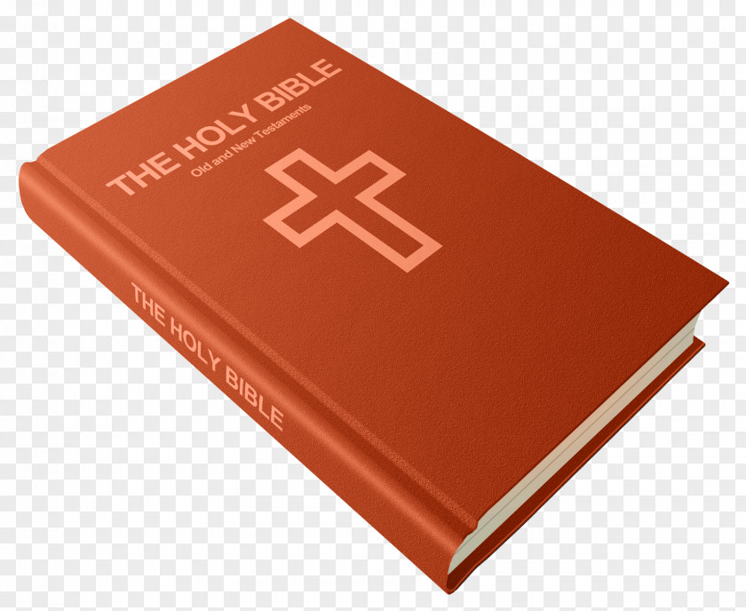 Bible Study Book New International Version PNG