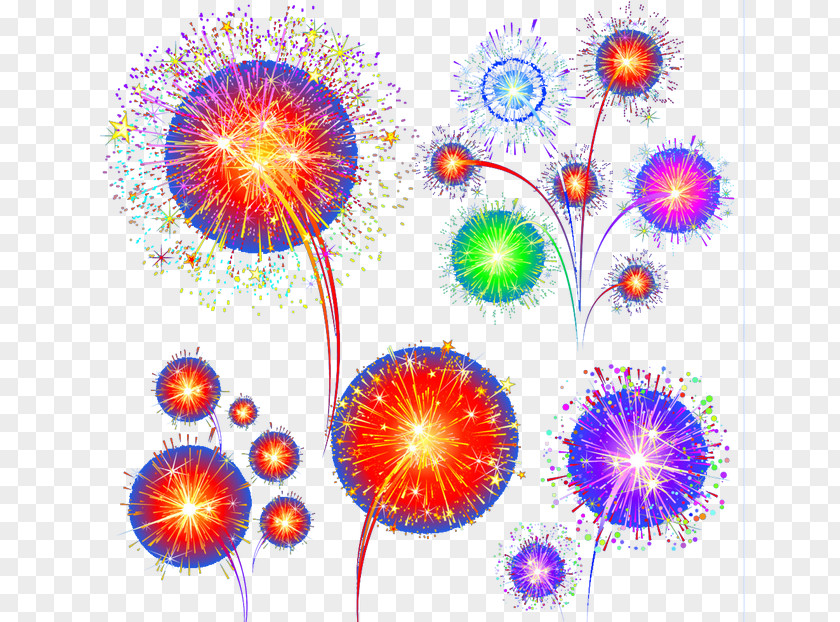 Fireworks Petal Purple Pattern PNG