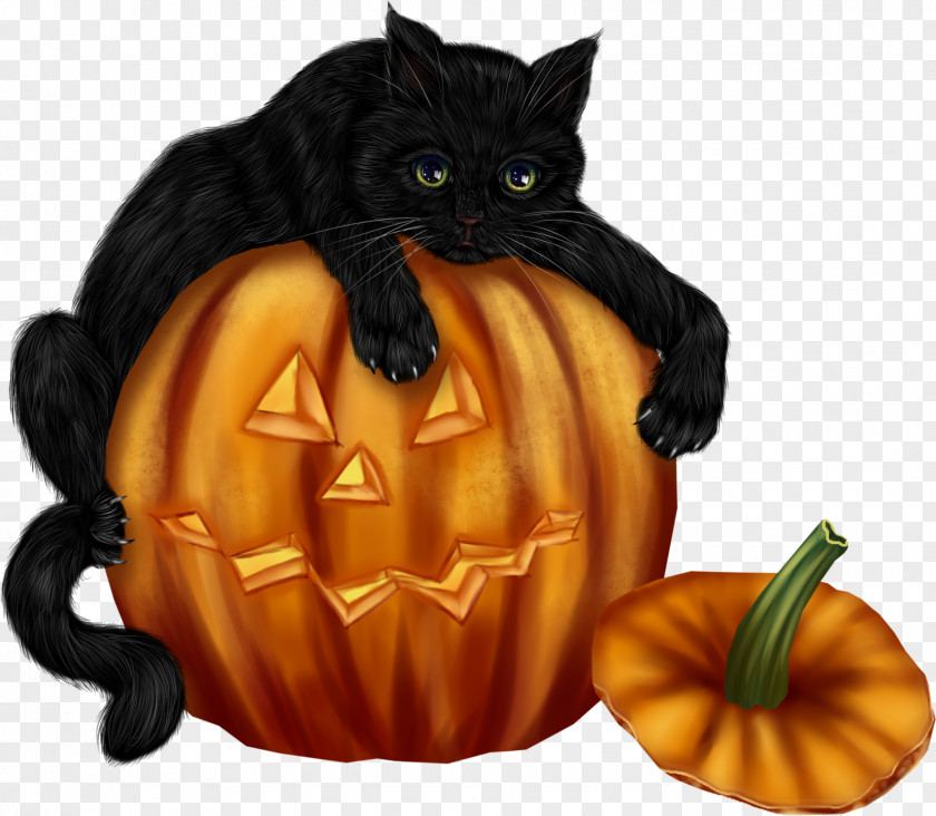 Halloween Candy Cartoon Jack-o'-lantern Whiskers Clip Art Black Cat PNG