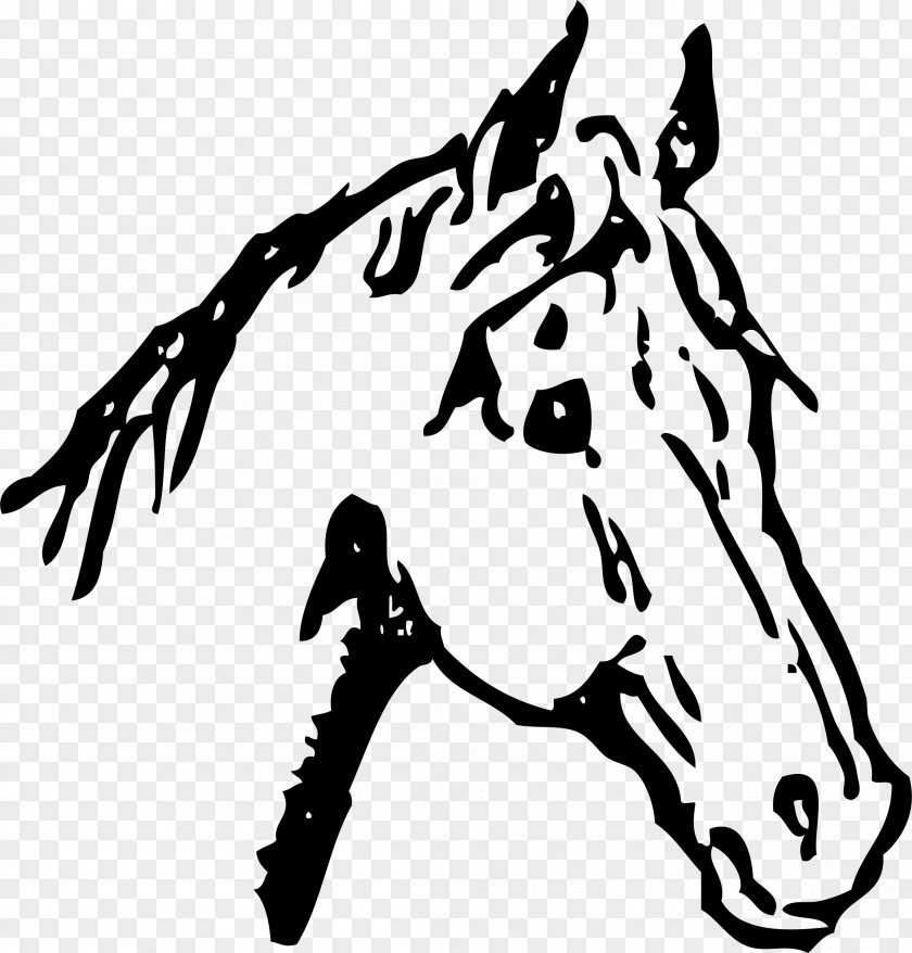 Running Horse Head Belgian American Quarter Equestrian Drawing Clip Art PNG
