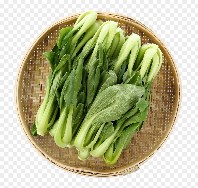 Vegetables Vegetable Chinese Cabbage U6cb9u83dc PNG
