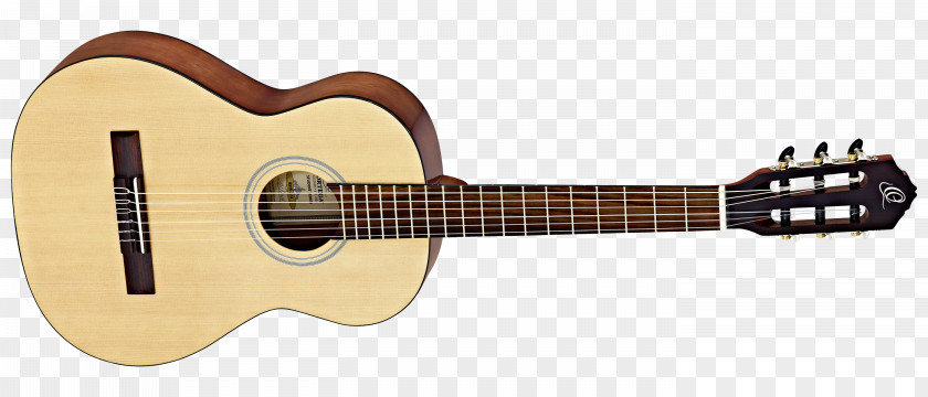 Acoustic Guitar Takamine Guitars Acoustic-electric Musical Instruments PNG