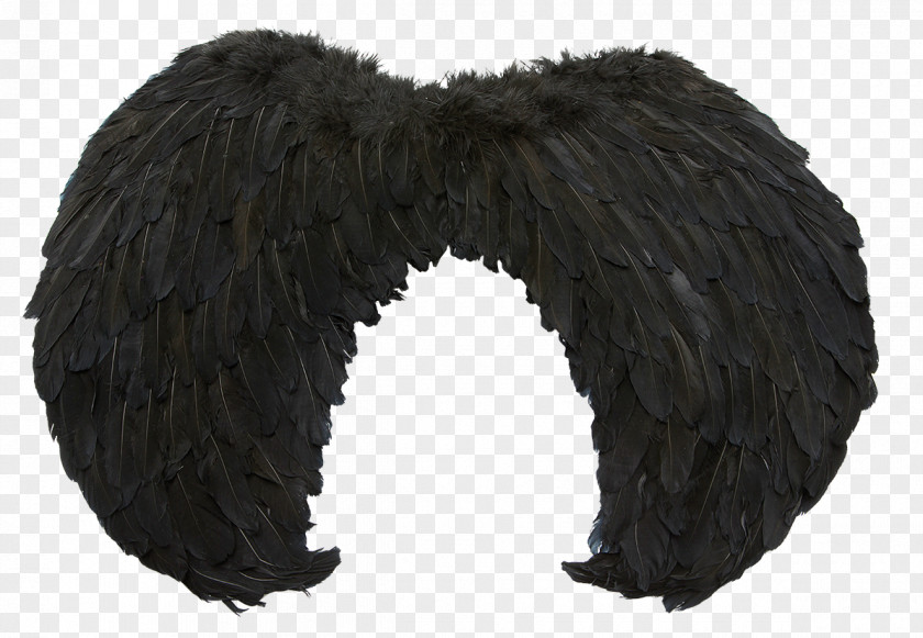 Angel Wing Costume Party Halo PNG