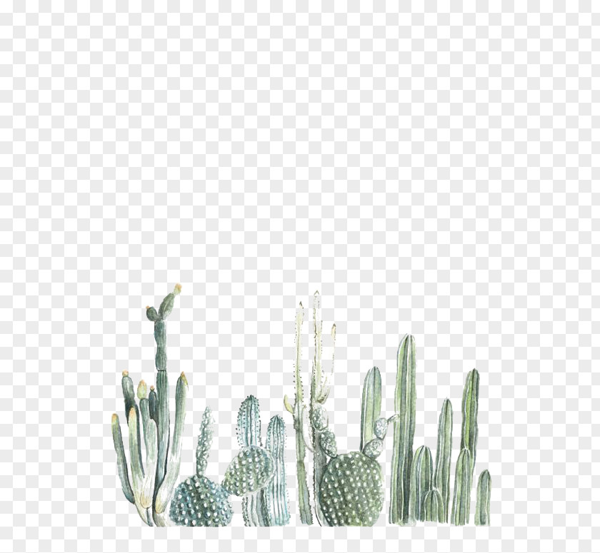 Cactus Cactaceae Paper Printing Watercolor Painting PNG