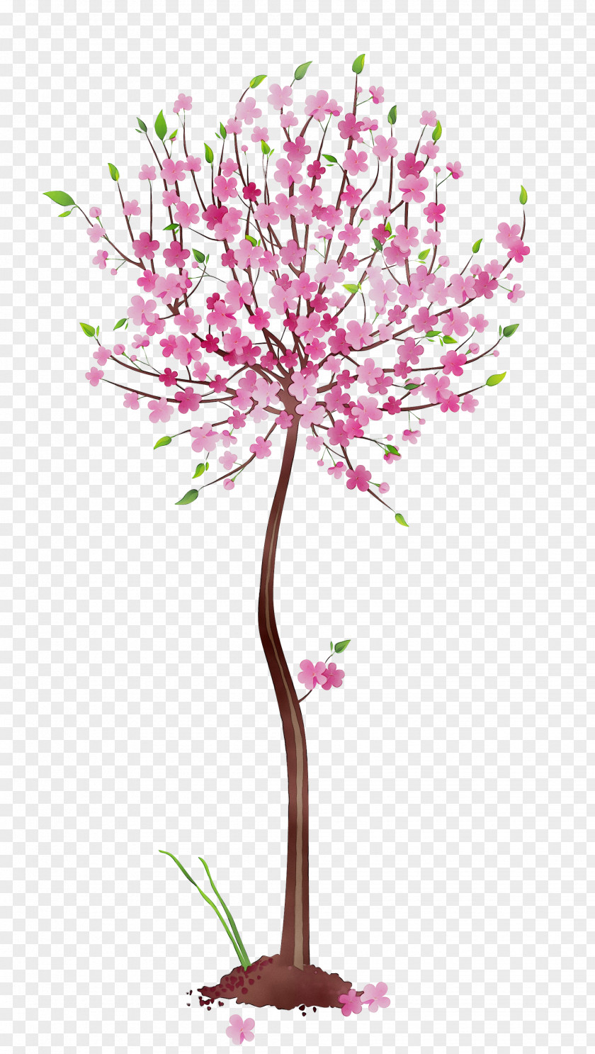 Clip Art Openclipart Illustration Tree PNG