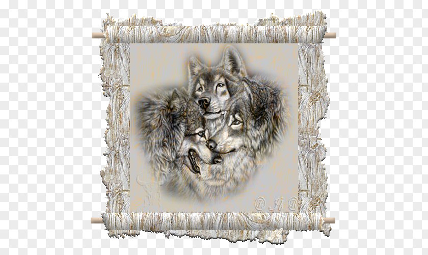 Frem Gray Wolf Drawing Paper Painting PNG