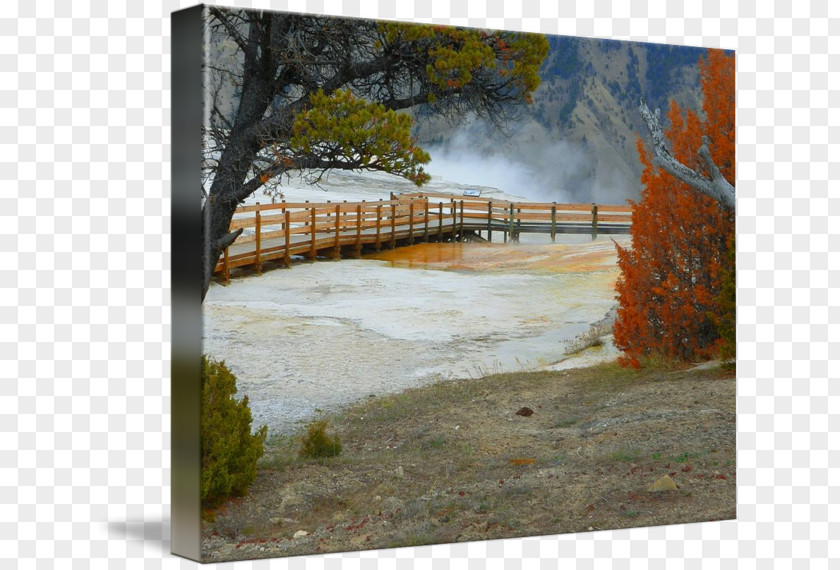 Hot Spring Beauty Painting Picture Frames Water Resources Wood /m/083vt PNG