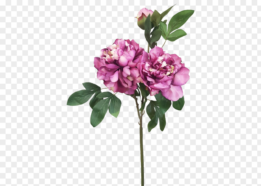 Lilac Cut Flowers Rosaceae Plant Stem Rose PNG