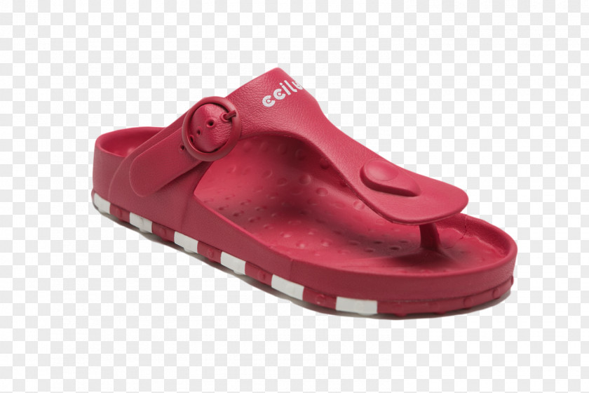 Sandal Shoe Sportie LA Clothing Accessories Footwear PNG
