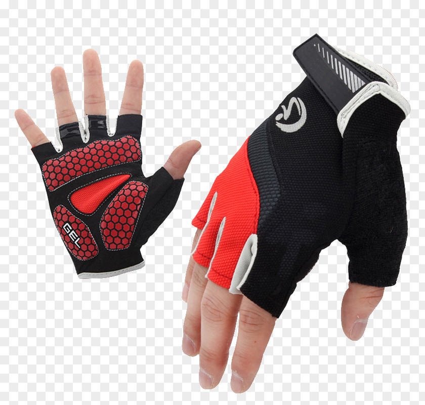 Fat Bike Rear Rack Cycling Bicycle Gloves Mountain PNG