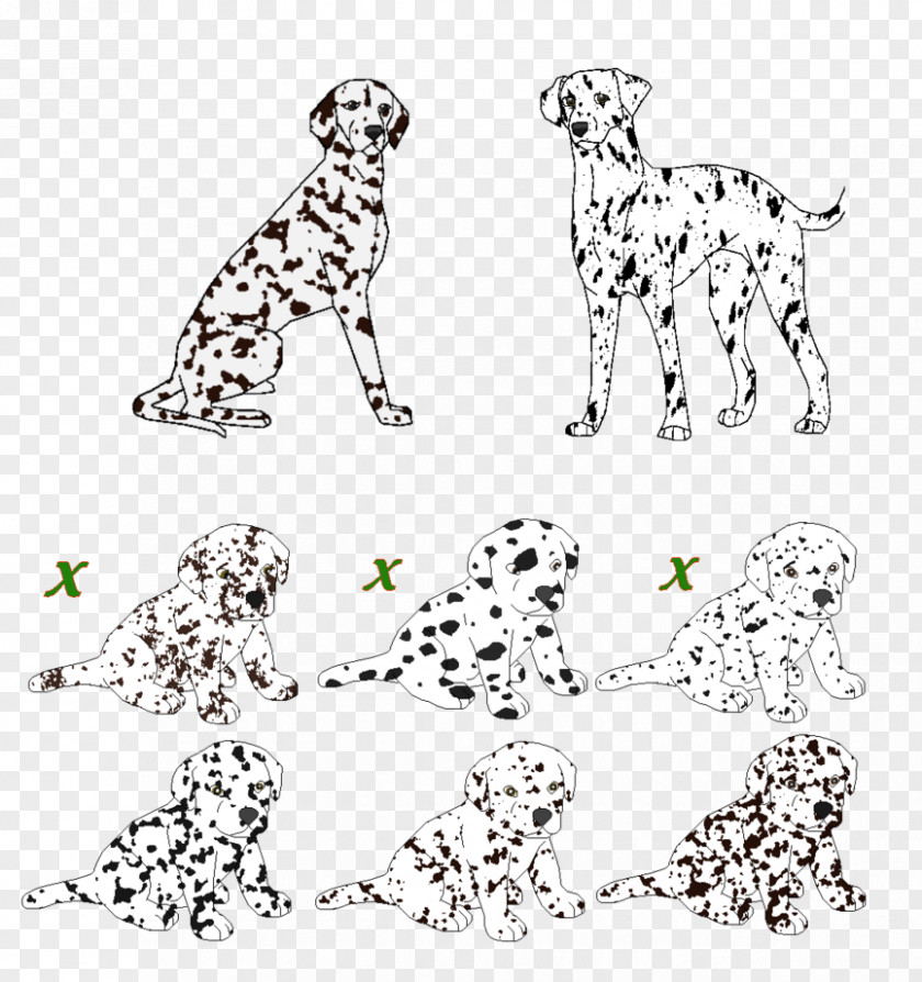 Flemings Left Hand Rule Dalmatian Dog Breed Non-sporting Group Pongo Art PNG