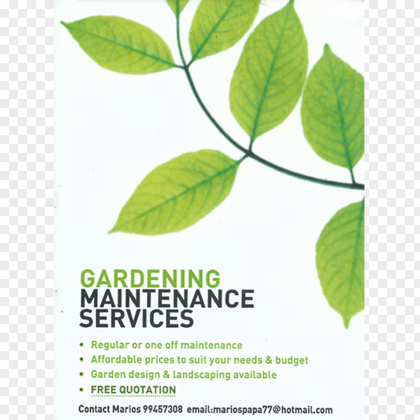 Garden Business Leaf Tree PNG