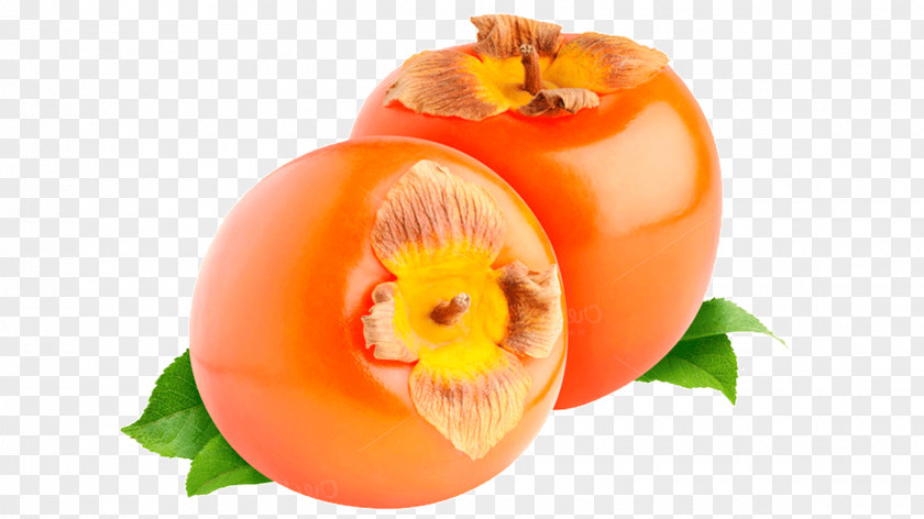 Persimmon Persimmons Berry Food Fruit PNG