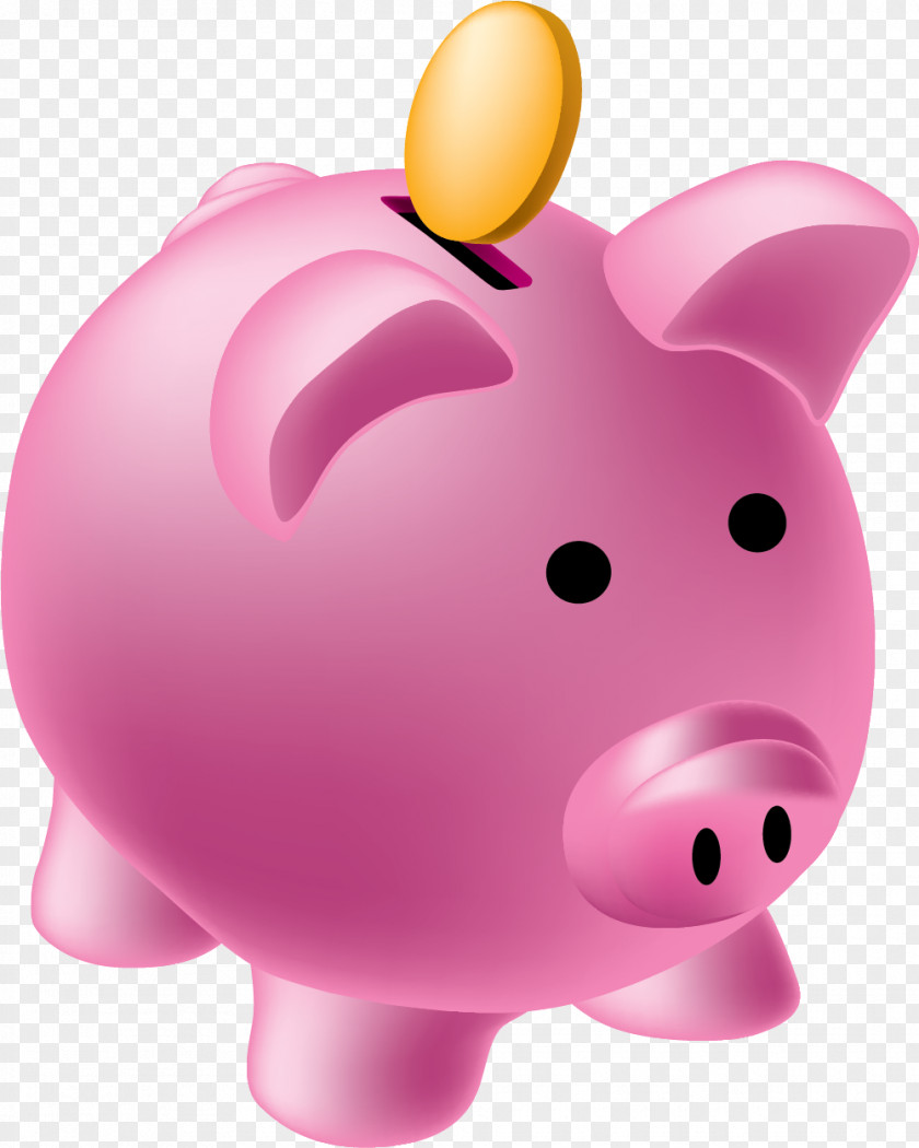 Pink Piggy Bank Domestic Pig Three-dimensional Space Computer File PNG