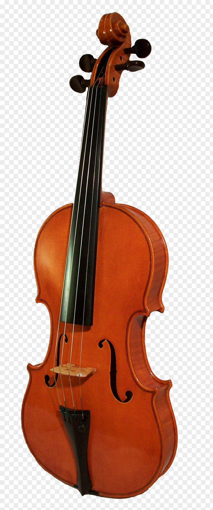 Violin Cello Musical Instrument PNG