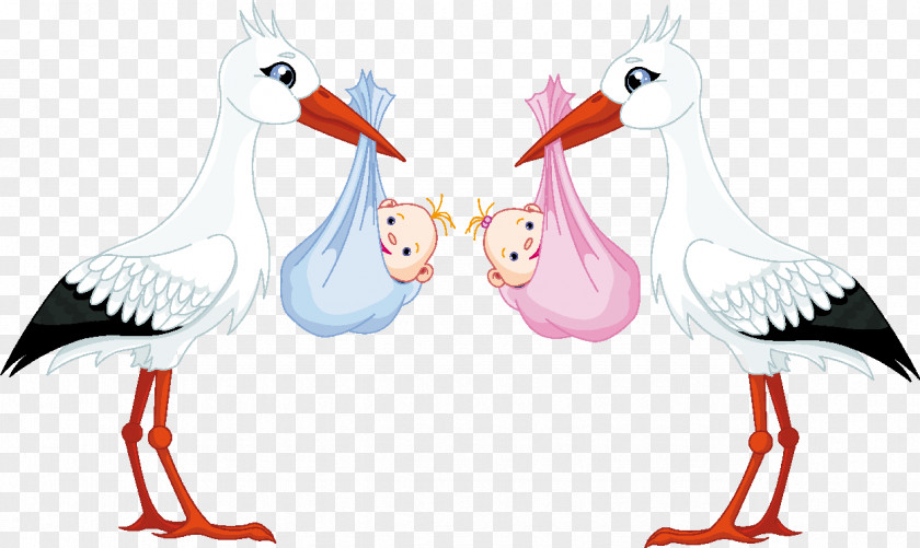 Baby Shower White Stork Infant Clip Art PNG