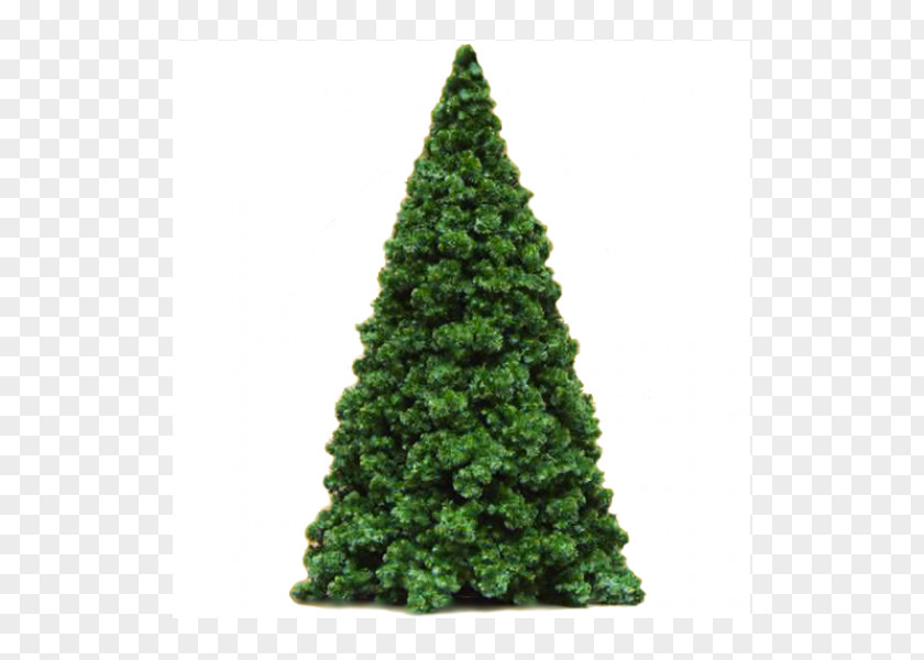 Christmas Tree Spruce Ornament PNG