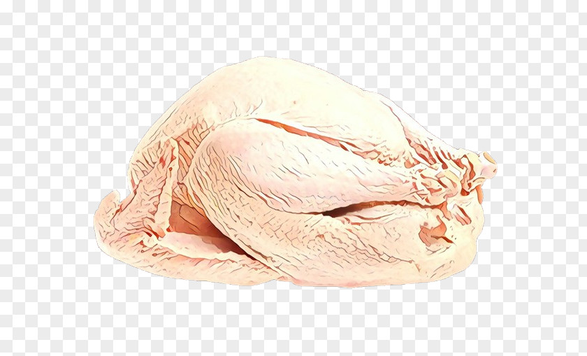 Duck Meat Turkey Chicken Food Water Bird PNG