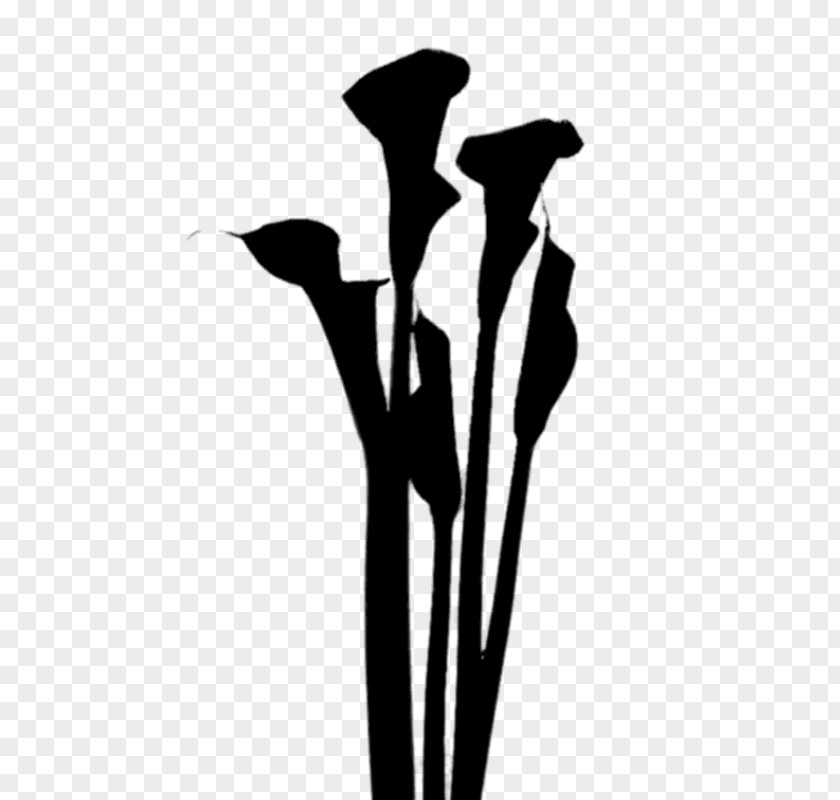 Flowering Plant Product Stem Silhouette PNG
