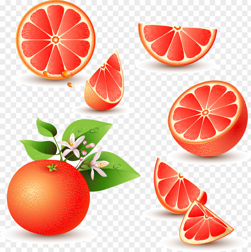 Red Grapefruit Vector Material Juice Pomelo Orange PNG