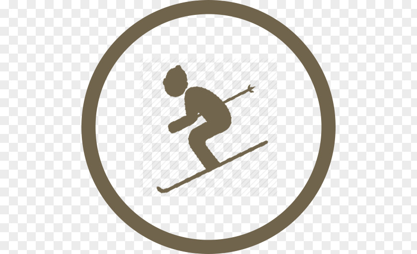 Skiing Winter Sport Ski Poles PNG