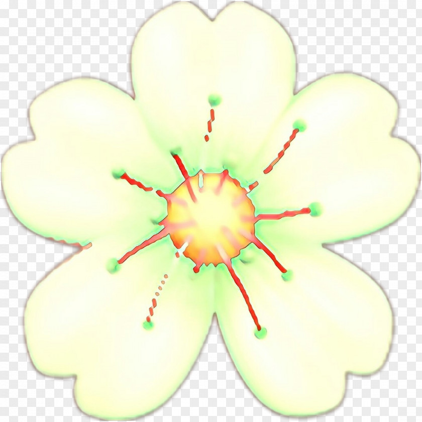 Symbol Flower PNG