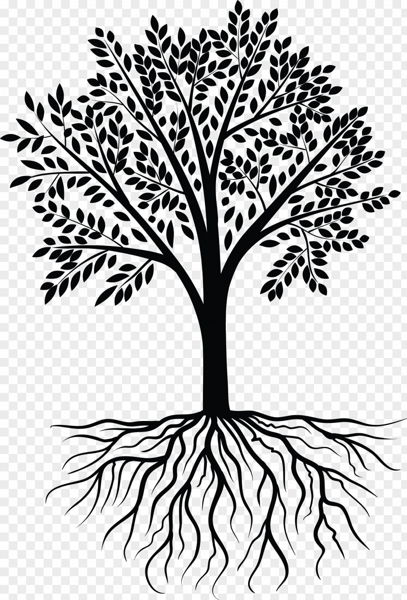 Tree Vector Photography Clip Art PNG