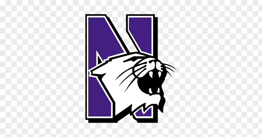 American Football Northwestern Wildcats Men's Basketball NCAA Division I Bowl Subdivision PNG