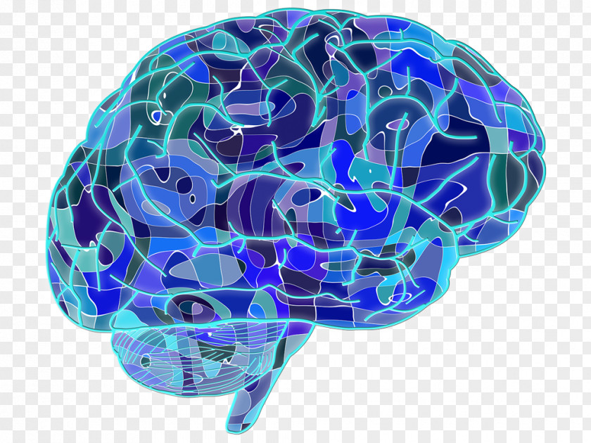 Brain Blue Project Neuron Human Neuroscience PNG