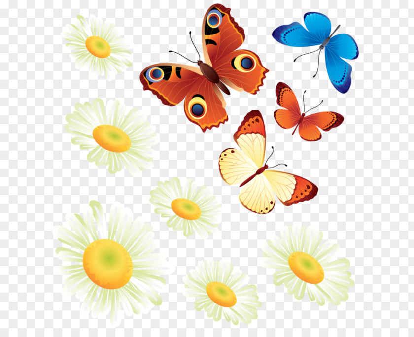 Butterfly Monarch Clip Art PNG