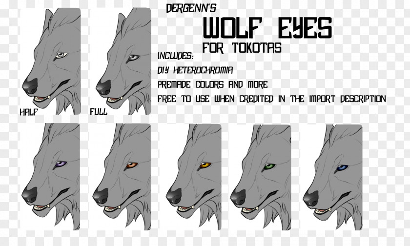 Eye Gray Wolf Color DeviantArt PNG