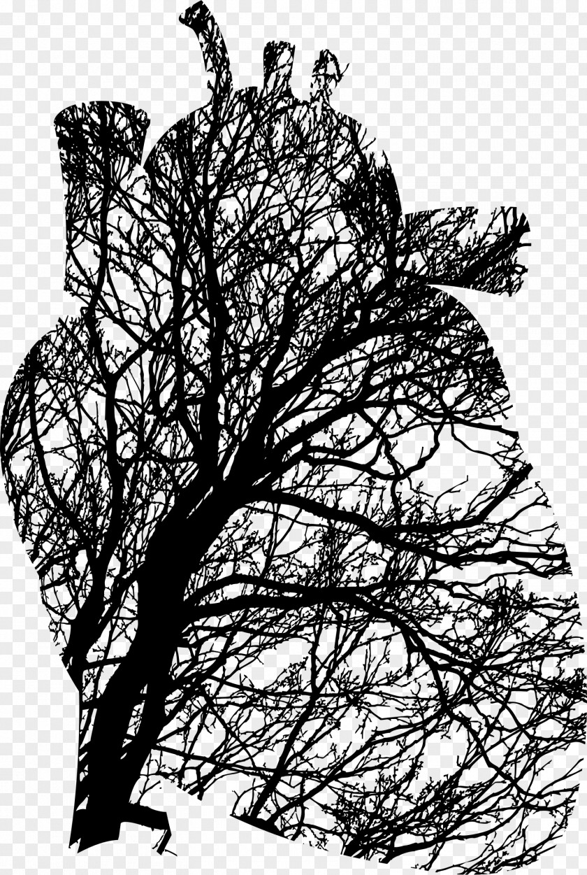 Heart Tree Branch Biology Clip Art PNG