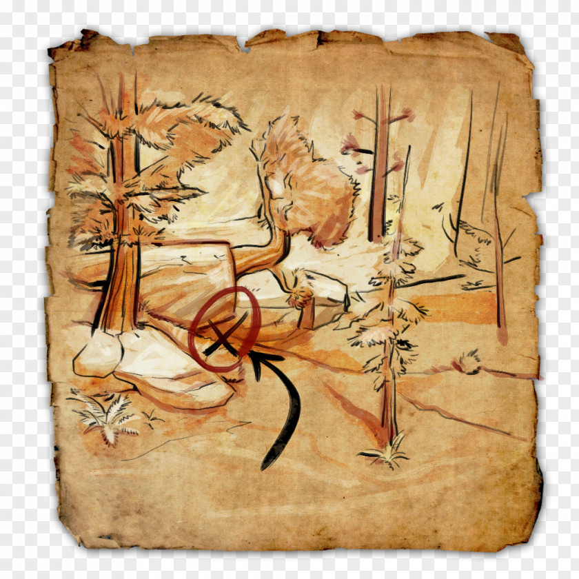 Map The Elder Scrolls Online Treasure Cyrodiil PNG