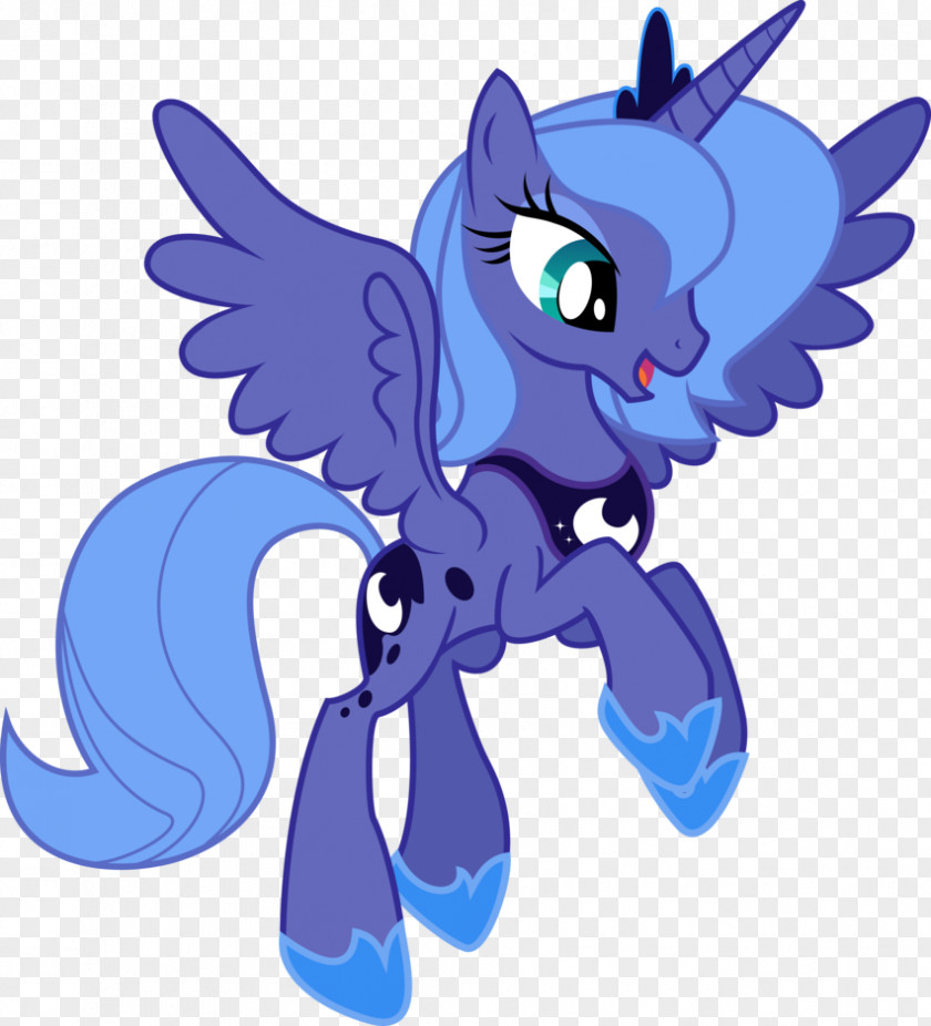 Overlooking A Variety Of Trees Princess Luna My Little Pony Rarity Rainbow Dash PNG