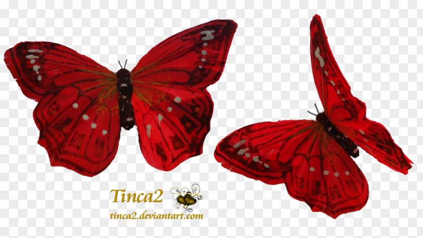 Red Butterfly Greta Oto Clip Art PNG