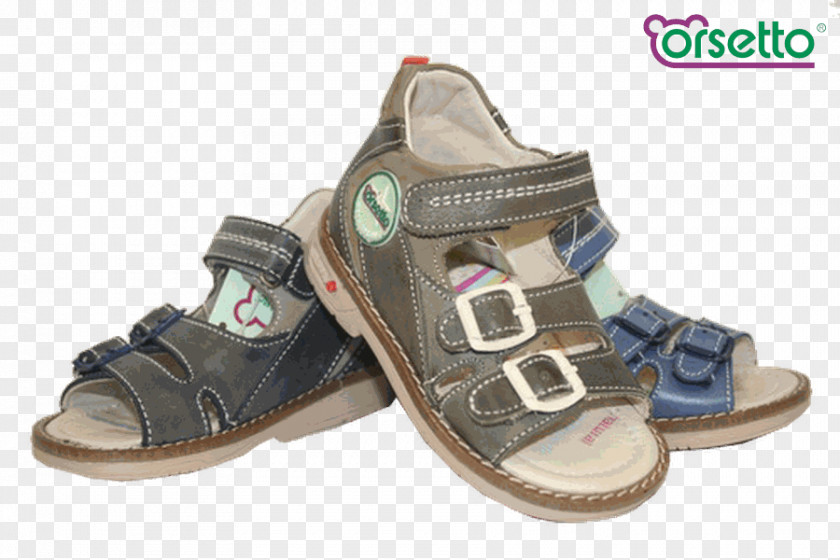 Sandal Shoe Walking PNG