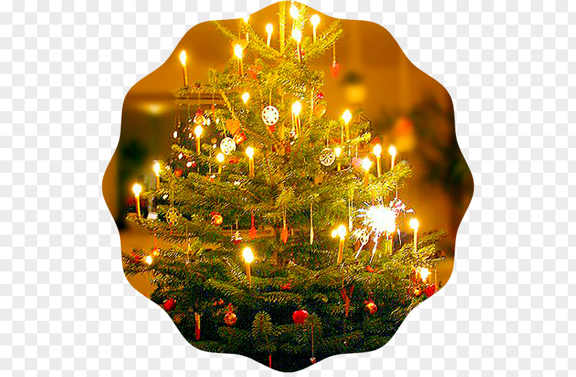 Scott Mccall Christmas Tree Decoration Trees For Kids O Tannenbaum PNG