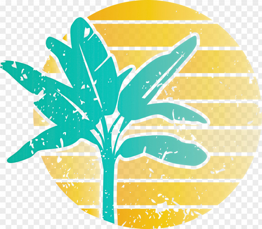 Summer Palm PNG