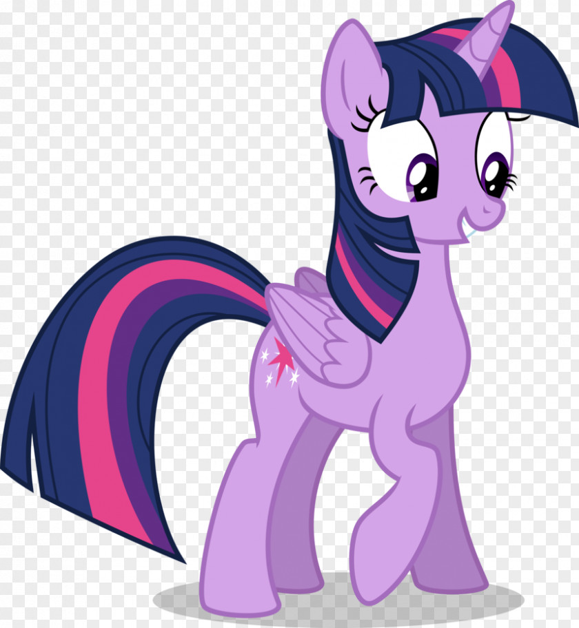 Twilight Sparkle Princess Celestia My Little Pony Winged Unicorn PNG