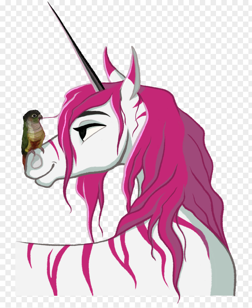 Unicorn Horse Nose Clip Art Illustration PNG