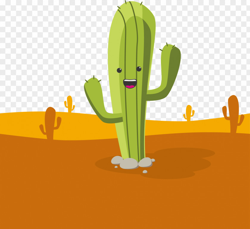 Vector Cactus Cactaceae Pine Smile Desert PNG