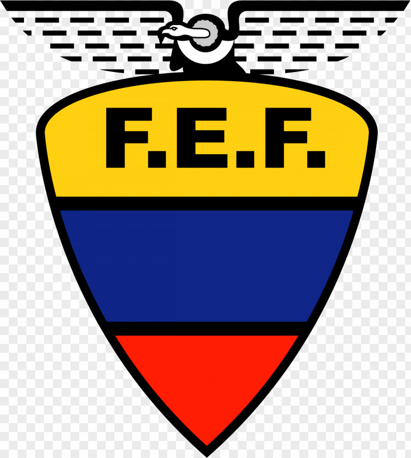 American Football Team Ecuador National Barcelona S.C. Ecuadorian Federation CONMEBOL PNG