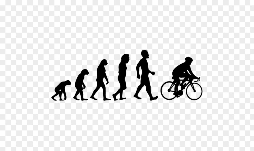 Cycling Bicycle Silhouette Vehicle Recreation PNG