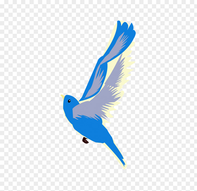 Feather Mountain Bluebird Cartoon Nature Background PNG