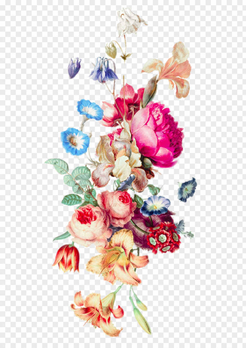 HD Flowers Of Various Colors IPhone 6 Plus Floral Design Cut Flower Bouquet PNG