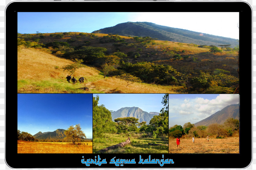 Mount Scenery National Park Nature Tourism Ecoregion PNG