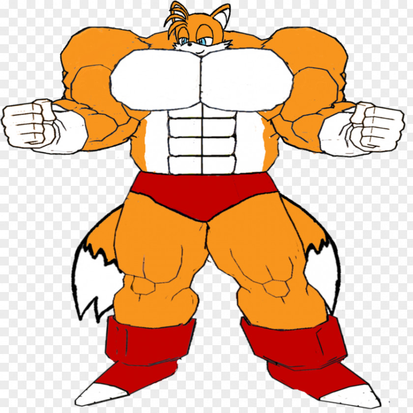 Muscle Distribution Tails Sonic Chaos Metal And The Secret Rings Rouge Bat PNG