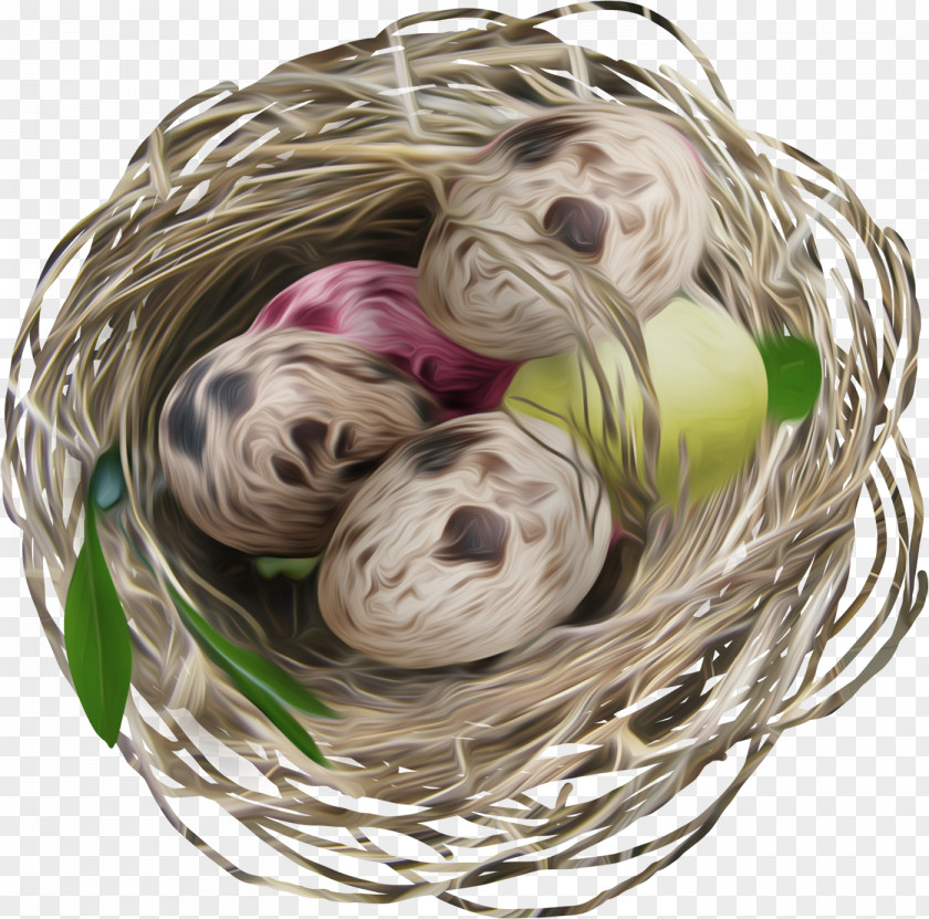 Nest Bird Clip Art PNG