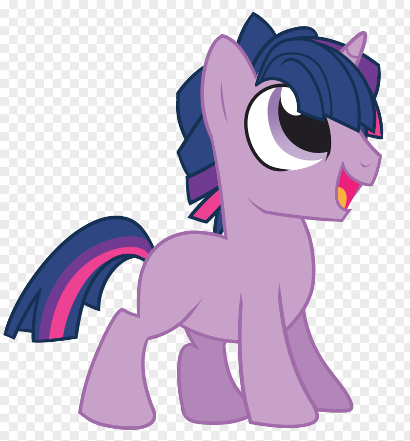 Pony Twilight Sparkle Princess Celestia Flash Sentry Derpy Hooves PNG