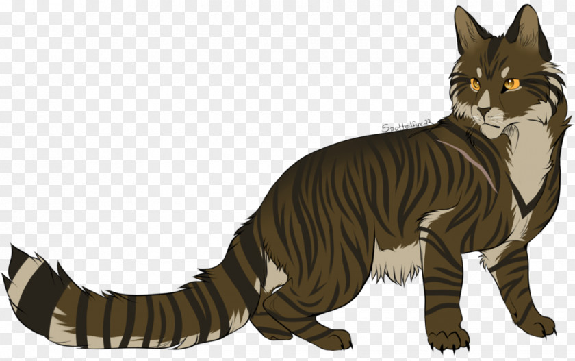 Tabby Cat YouTube Warriors Firestar Kitten PNG